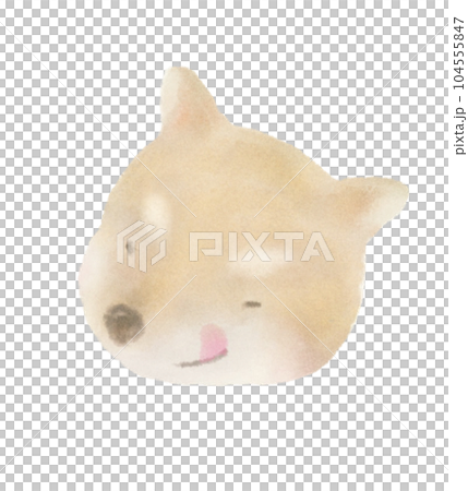 かわいくて優しい柴犬のイラスト 104555847