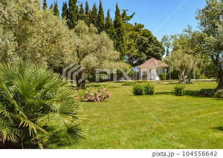 Picturesque view of the Mediterranean landscape with a beautiful lawn, a small farmhouse and olive and cypress trees, sunny summer day 104556642