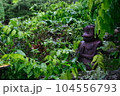 雨の中の木製の河童 104556793