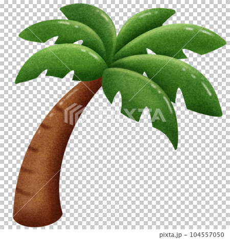 Summer beach coconut tree 104557050