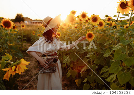 Beautiful woman in a dress in a field of sunflowers 104558258