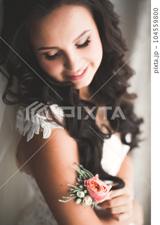 Portrait of beautiful bride with fashion veil at wedding morning Portrait of beautiful bride with fashion veil at wedding morning 104559800