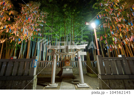 八幡の藪知らずライトアップ　市川市 104562145