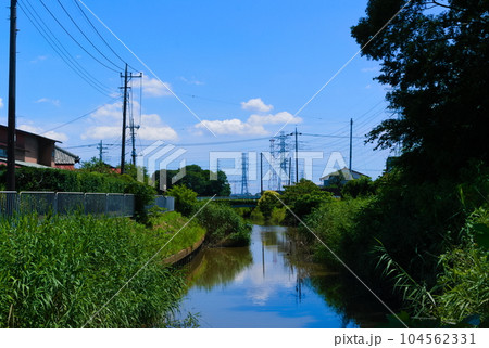 埼玉県吉川市大場川沿いの風景2023年7月 埼玉県吉川市大場川沿いの風景2023年7月 104562331