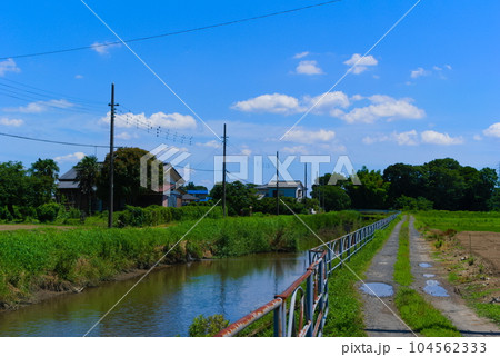 埼玉県吉川市大場川沿いの風景2023年7月 104562333