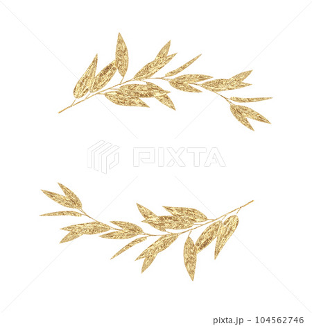 Eucalyptus leaves and branches golden frame isolated on white background 104562746