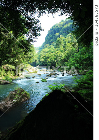 深い森を流れる雄川の滝の川 深い森を流れる雄川の滝の川 104563573