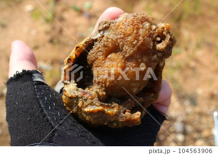 Concretion of quartz and chalcedony in hand, search for collection minerals stones, rockhounding Concretion of quartz and chalcedony in hand, search for collection minerals stones, rockhounding 104563906