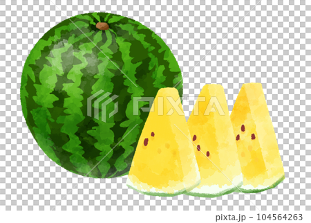 Yellow watermelon illustration hand drawn watercolor style 104564263