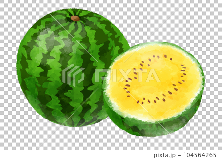 黃色西瓜插畫手繪水彩風格 黃色西瓜插畫手繪水彩風格 104564265