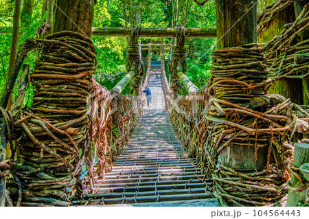 徳島 祖谷のかずら橋 104564443