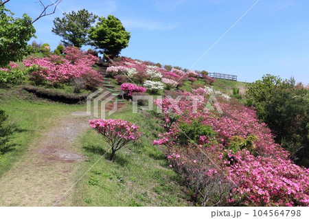 阿蘇市 春の田子山展望所の風景 阿蘇市 春の田子山展望所の風景 104564798