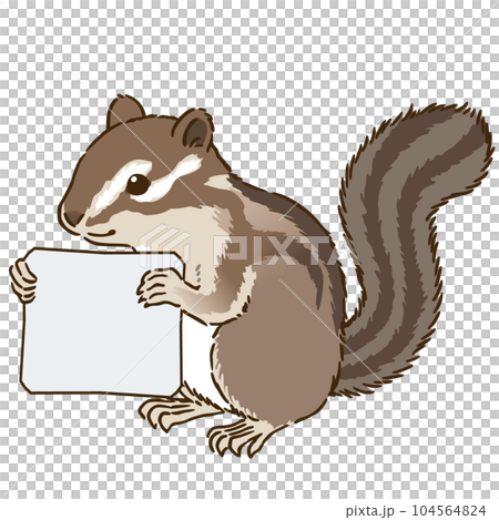 chipmunk with message board chipmunk with message board 104564824