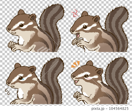 Chipmunk emotions set Chipmunk emotions set 104564825