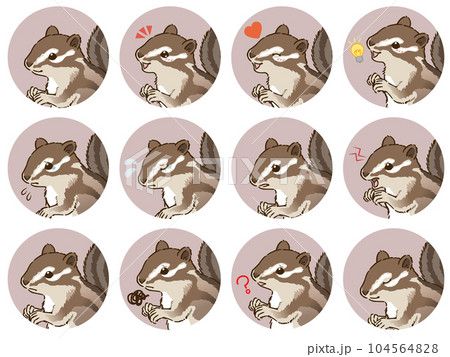 シマリスの表情アイコンセット 104564828