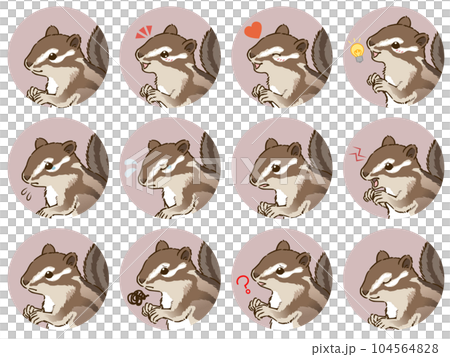 シマリスの表情アイコンセット 104564828