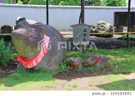 業平山 南蔵院のしばられ地蔵尊 出世牛 東京都葛飾区 東水元2丁目 業平山 南蔵院のしばられ地蔵尊 出世牛 東京都葛飾区 東水元2丁目 104564892