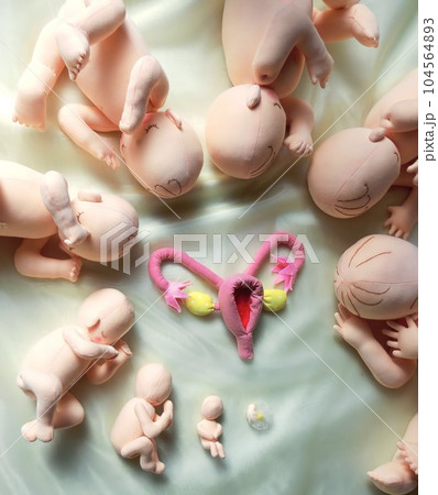 愛おしく抱っこできる胎児人形コロン 104564893