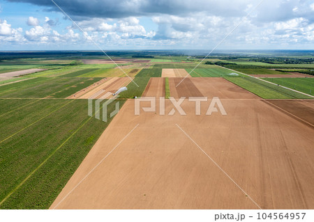 Aerial view of planted and unplanted agricultural fields in Homestaed, Florida. 104564957