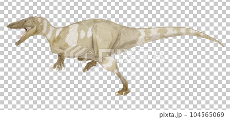 メガラプトル類の中型獣脚類　前肢の鉤爪　南アフリカ大陸で発見された最も南の恐竜 104565069