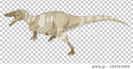 A megalaptoran theropod, claws on the forelimbs, the southernmost dinosaur discovered in South Africa A megalaptoran theropod, claws on the forelimbs, the southernmost dinosaur discovered in South Africa 104565069