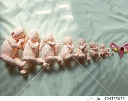 やさしさとぬくもりの胎児人形　妊婦体験　パパママ教室 104565086