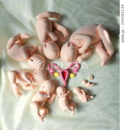 親子の絆を妊娠期間中から感じて 母性、父性を育てる 親子の絆を妊娠期間中から感じて 母性、父性を育てる 104565134