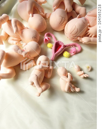 小さな命が力強く成長する様子に感動します 104565218