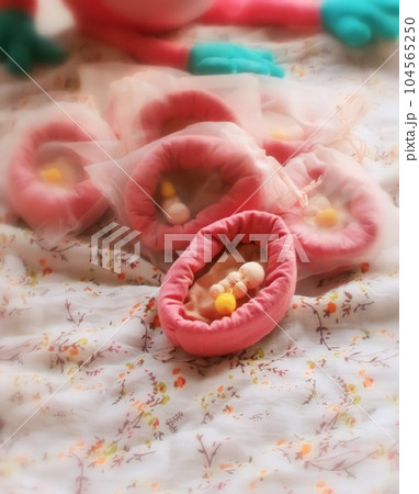 卵大の子宮の中に小さな胎芽が芽吹きました 卵大の子宮の中に小さな胎芽が芽吹きました 104565250
