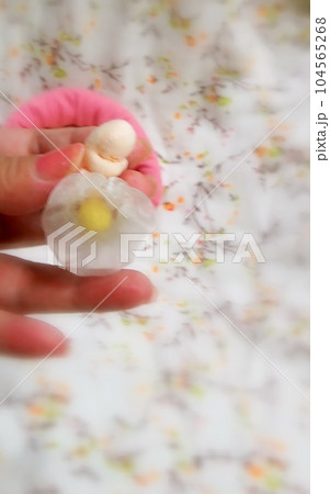 卵黄農を有する胎芽　可愛らしい実物大モデル 104565268