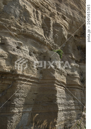 屏風ケ浦の海食崖/東洋のドーバー 104565365