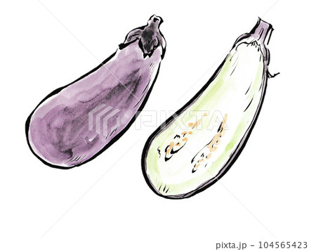 麻婆茄子や焼きなすに 夏野菜の丸ごととカットされた茄子 麻婆茄子や焼きなすに 夏野菜の丸ごととカットされた茄子 104565423