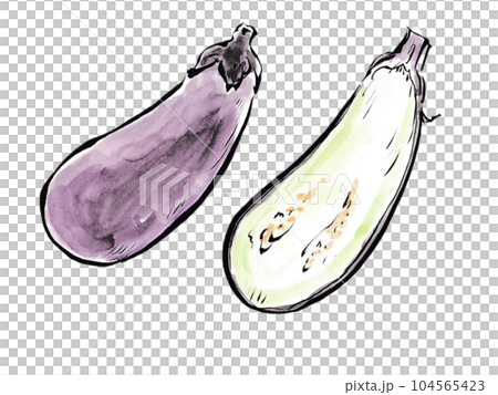 Mapo Eggplant and Grilled Eggplant with Whole Summer Vegetables and Cut Eggplant 104565423