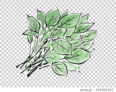 Sticky, Delicious Summer Vegetables Moroheiya Sticky, Delicious Summer Vegetables Moroheiya 104565424