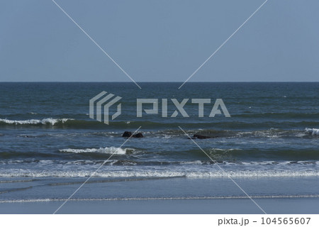 房総半島/九十九里浜の海岸 房総半島/九十九里浜の海岸 104565607