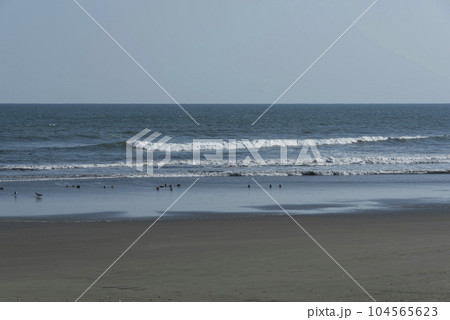 房総半島/九十九里浜の海岸 房総半島/九十九里浜の海岸 104565623