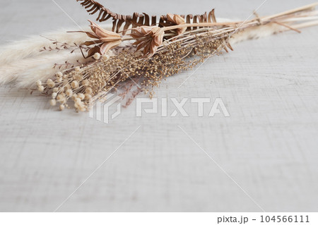 秋のドライフラワー　ナチュラルな背景素材 104566111