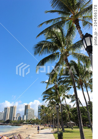 ハワイの絶景 ハワイの絶景 104566178