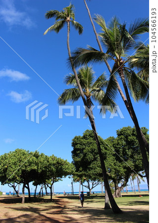 ハワイの絶景 ハワイの絶景 104566193