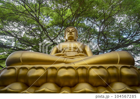 The Giant Golden Buddha enshrined in Wat Paknam Phasi Charoen in Bangkok, Thailand. 104567285
