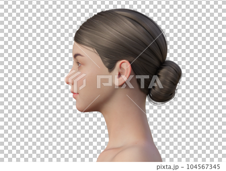 Side view of a 3d model woman facing left with - Stock 