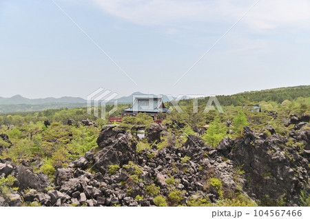 広大な溶岩台地の鬼押し出し園 広大な溶岩台地の鬼押し出し園 104567466