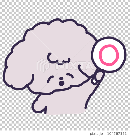 一隻可愛的玩具貴賓犬拿著圓盤的插圖 一隻可愛的玩具貴賓犬拿著圓盤的插圖 104567551