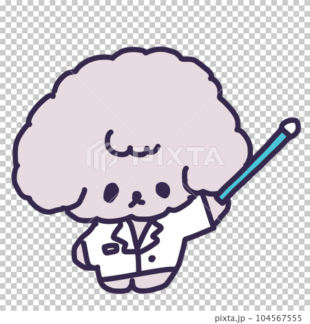 一隻可愛的玩具貴賓犬用指點棒指著的插圖 104567555