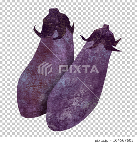 Eggplant hand-drawn illustration Eggplant hand-drawn illustration 104567603