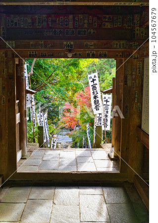 鎌倉　杉本寺 104567679