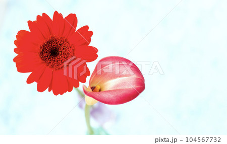 2種類の可愛い花素材 104567732