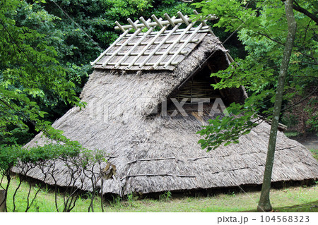 袖ヶ浦公園に復元された竪穴式住居 104568323