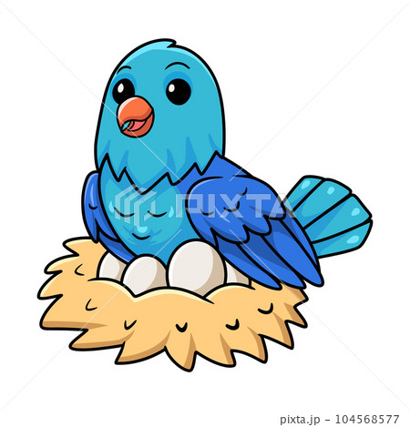 Cute forpus parrotlet bird cartoon with eggs in the nest 104568577