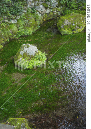 清らかな水の流れる場所 鳥取県 布勢の清水 104568848